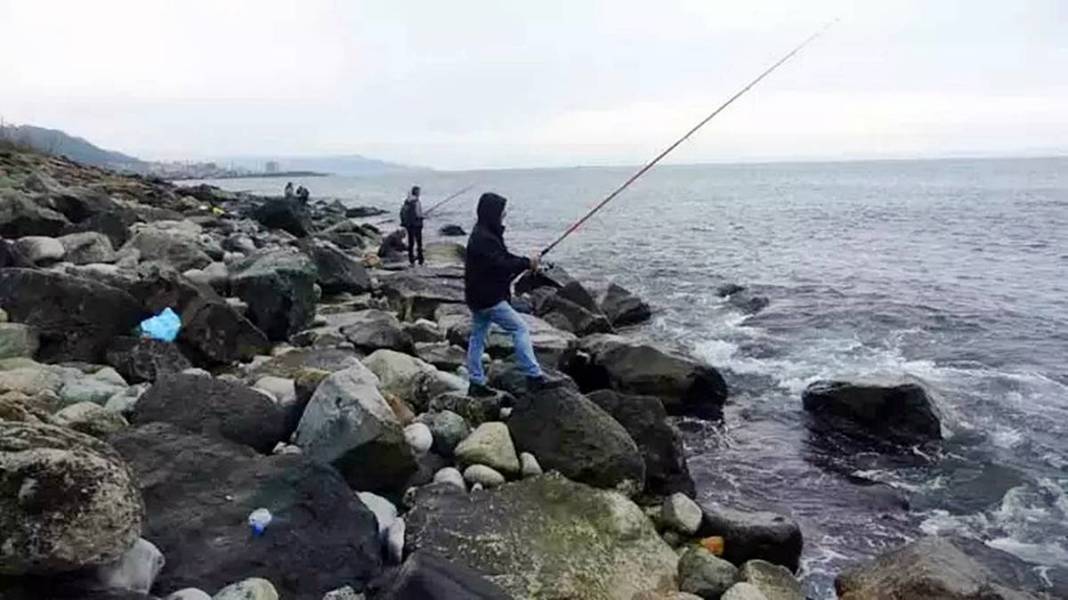 Denize iki ton levrek dağıldığını duyanlar oraya koştu! Üç saatlik yoldan gelip olta salladılar 3